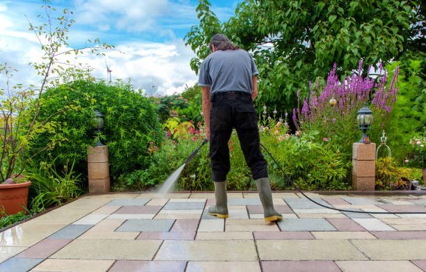 Reliable Palacios, TX Pressure Washing Solutions